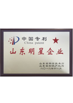 榮譽(yù)資質(zhì) 榮譽(yù)資質(zhì)